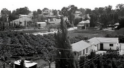 Панорама Рішон-ле-Ціона, 1920 р. Фото: Арік Матсон, Pikiwiki