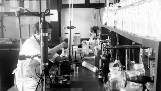 Дослідницька станція в Реховоті, 1933 р.