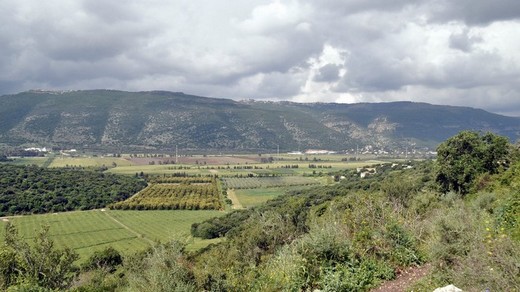 Гора Кармель, краєвид.