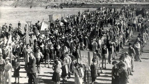 Церемонія посадки дерев на Ту бі-Шват в Єрусалимі, 1953 р. 