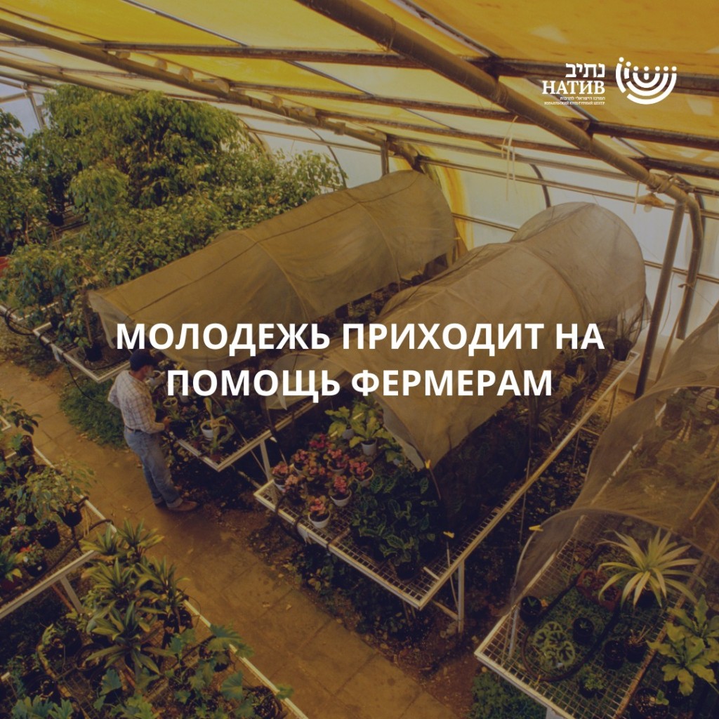 Израиль