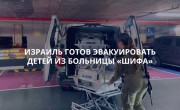 Армия обороны Израиля