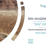 Веб-академия Натив