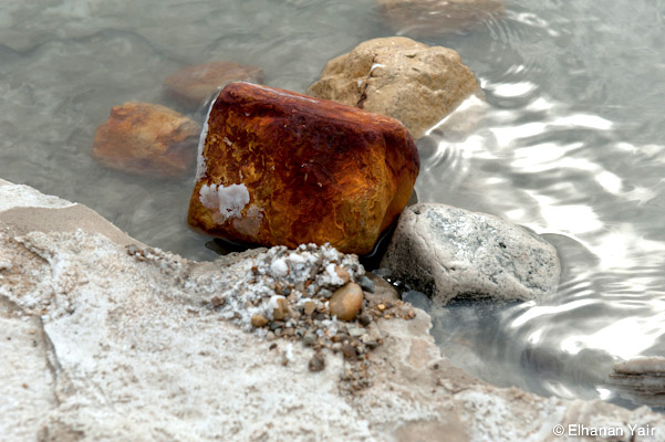 Photo by Elhanan Yair