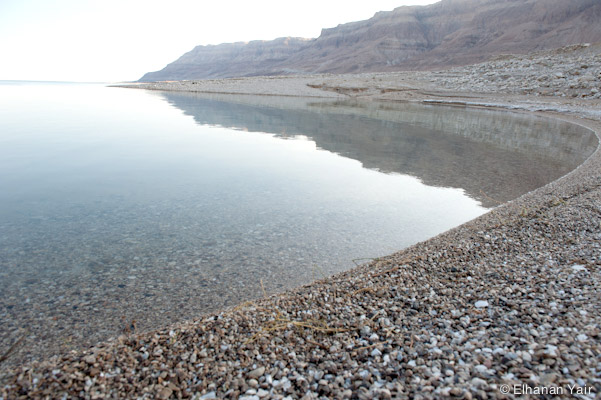 Photo by Elhanan Yair