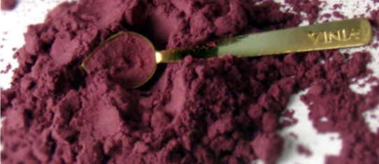 Vinia: инновационный продукт компании BioHarvest