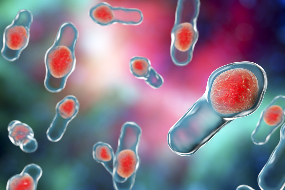 Бактерия Clostridium difficille