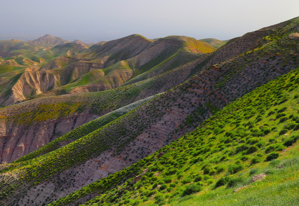 view of Judean Hills. Israel