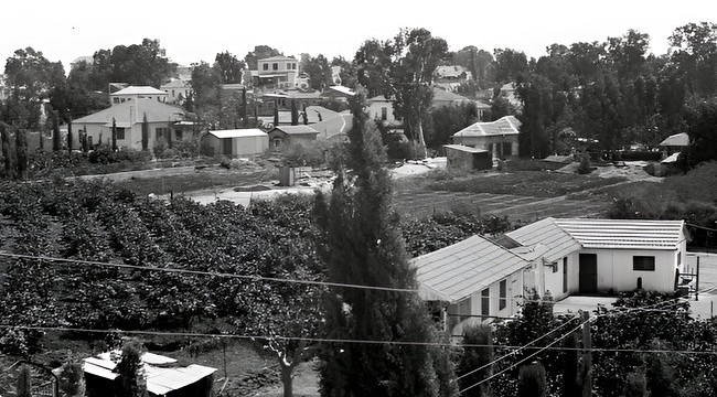 110873_rishon_lezion_PikiWiki_Israel Панорама Ришон-ле-Циона, 1920 г. Фото: Арик Матсон, Pikiwiki